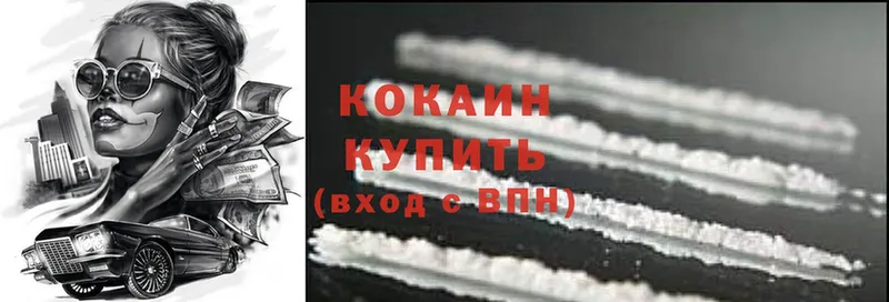 дарнет шоп  Сегежа  Cocaine FishScale 